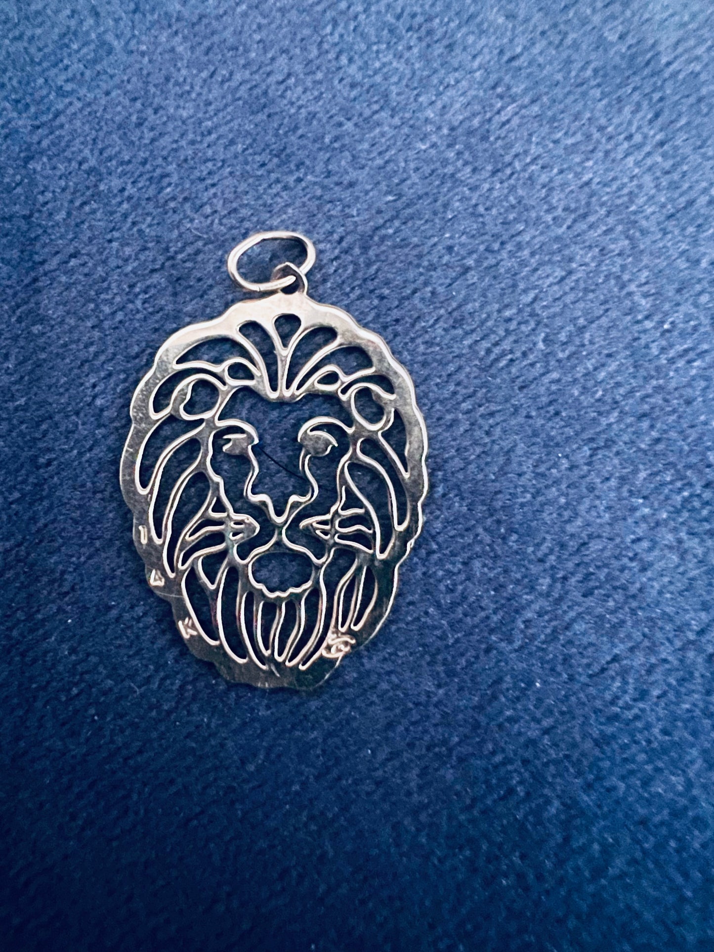 14k Lion Face Charm